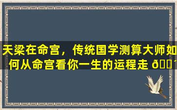 天梁在命宫，传统国学测算大师如何从命宫看你一生的运程走 🐴 向